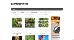 Desktop Screenshot of examplesof.net